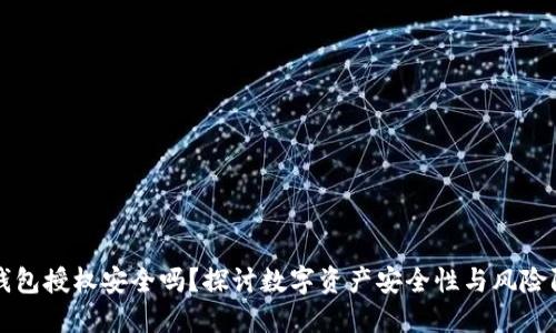 TP钱包授权安全吗？探讨数字资产安全性与风险防范
