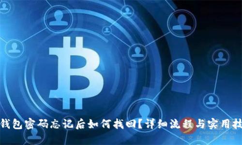 tp钱包密码忘记后如何找回？详细流程与实用技巧