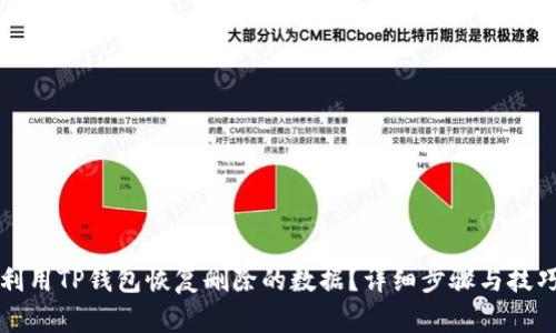 如何利用TP钱包恢复删除的数据？详细步骤与技巧分享