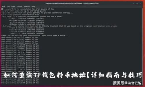 如何查询TP钱包持币地址？详细指南与技巧