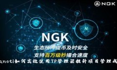 bianoti如何高效使用TP管理器提升项目管理成果