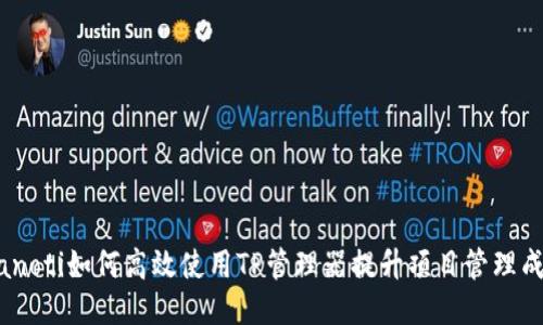 bianoti如何高效使用TP管理器提升项目管理成果