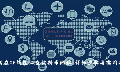 如何在TP钱包上查询持币地址：详细步骤与实用指南