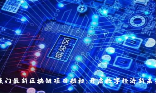 厦门最新区块链项目招标：开启数字经济新未来