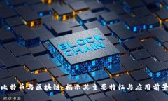 比特币与区块链：揭示其主要特征与应用前景