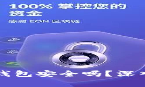 存虚拟币的外置钱包安全吗？深入分析与实践指南