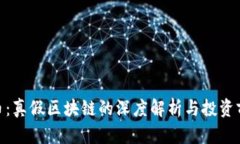 Pi币：真假区块链的深度解析与投资前景