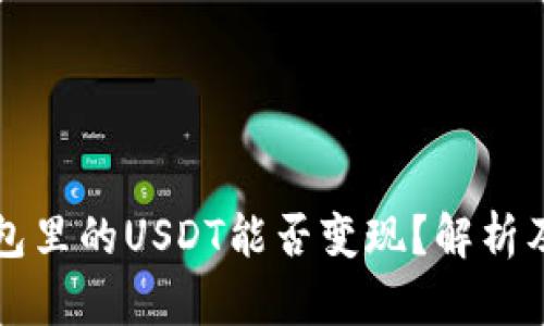 TP钱包里的USDT能否变现？解析及指南