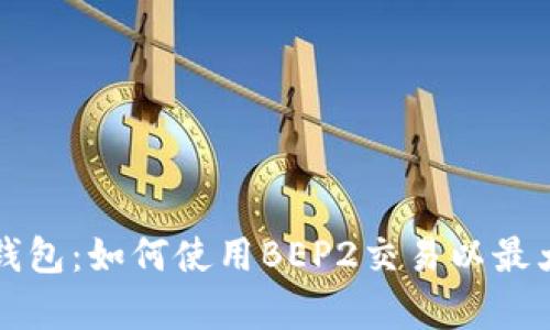 深入解析TP钱包：如何使用BEP2交易以最大化资产收益