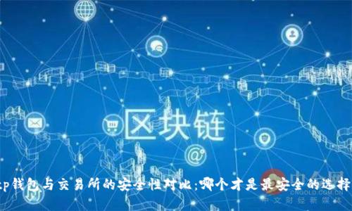 tp钱包与交易所的安全性对比：哪个才是最安全的选择？