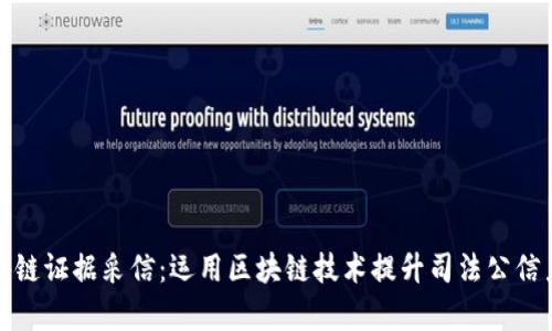 最新区块链证据采信：运用区块链技术提升司法公信力与效率