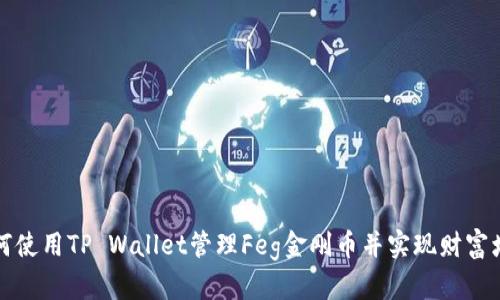 如何使用TP Wallet管理Feg金刚币并实现财富增长
