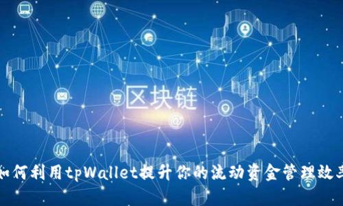 如何利用tpWallet提升你的流动资金管理效率