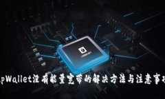 tpWallet没有能量宽带的解决方法与注意事项