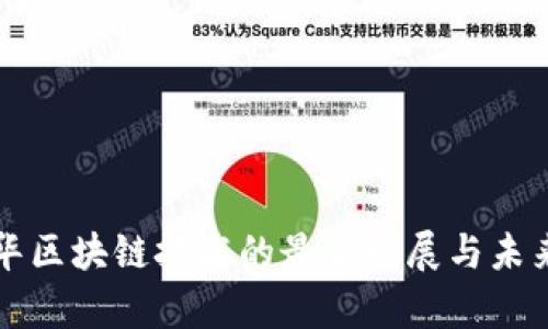 张曙华区块链技术的最新发展与未来前景