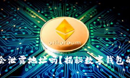 tpWallet转账会泄露地址吗？揭秘数字钱包的隐私保护机制