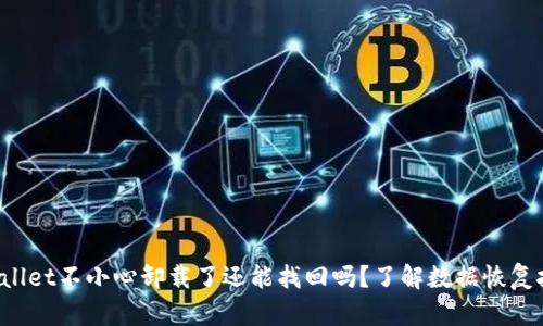 tpWallet不小心卸载了还能找回吗？了解数据恢复技巧！