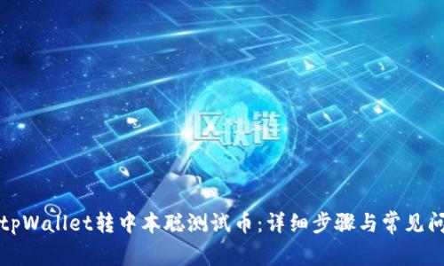 如何在tpWallet转中本聪测试币：详细步骤与常见问题解答
