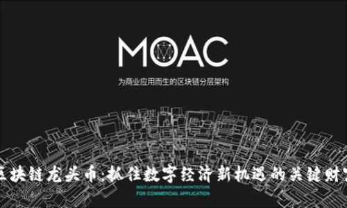 区块链龙头币：抓住数字经济新机遇的关键财富